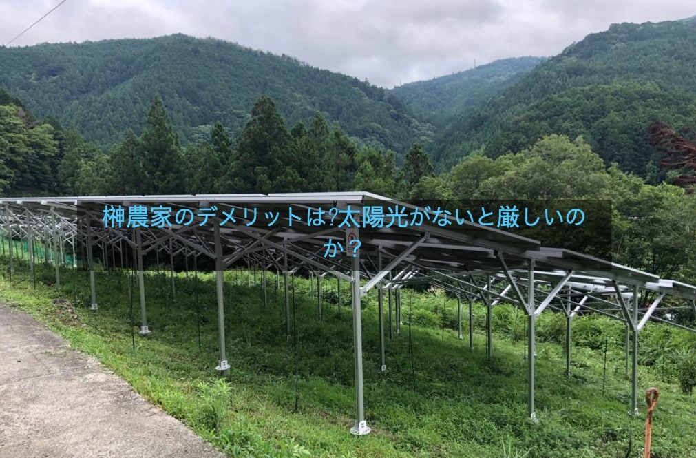 榊栽培のデメリットは 太陽光発電なしでも農家として儲けはでる On The Way To Be A Farmer 脱サラ代榊農家への挑戦