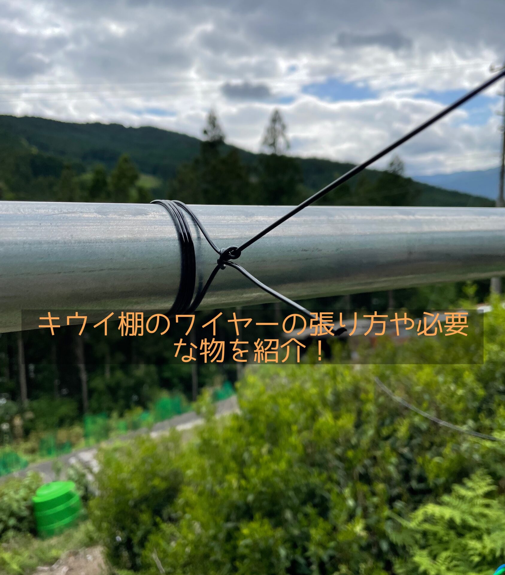 ぶどう キウイ棚ワイヤーの張り方 太さ 間隔等簡単なやり方を紹介 On The Way To Be A Farmer 脱サラ代榊農家への挑戦